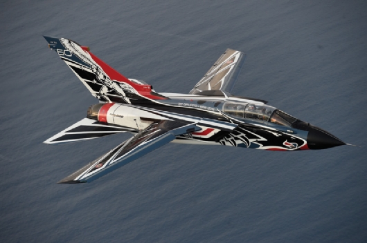 TORNADO IDS 60o ANNIV. 311 GV RS-2766